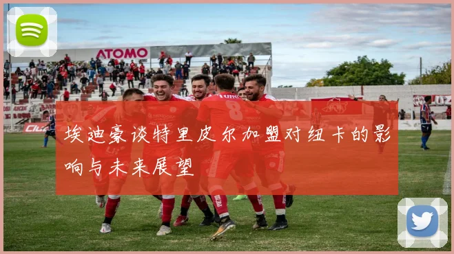埃迪豪谈特里皮尔加盟对纽卡的影响与未来展望