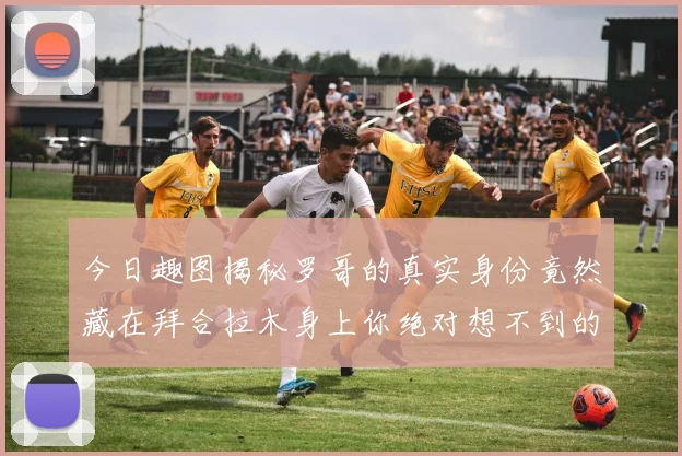 今日趣图揭秘罗哥的真实身份竟然藏在拜合拉木身上你绝对想不到的真相