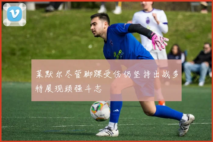 莱默尔尽管脚踝受伤仍坚持出战多特展现顽强斗志
