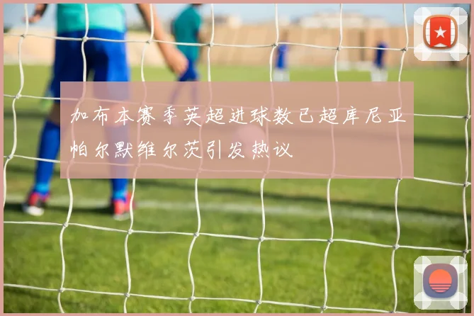 加布本赛季英超进球数已超库尼亚帕尔默维尔茨引发热议