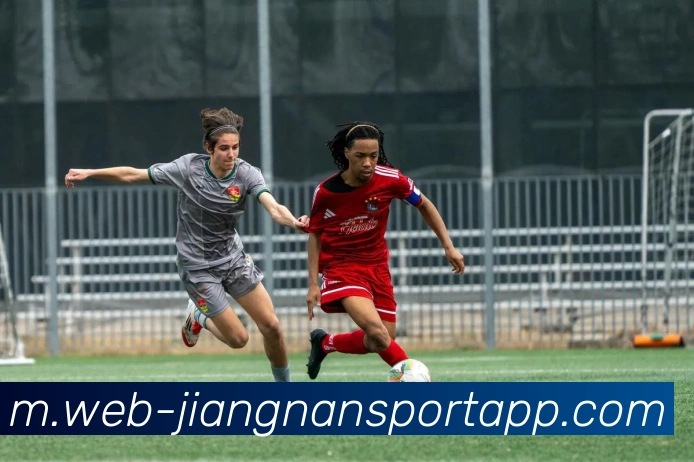 江南体育平台生态图